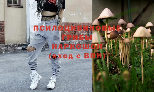 ПСИЛОЦИБИНОВЫЕ ГРИБЫ Алексин