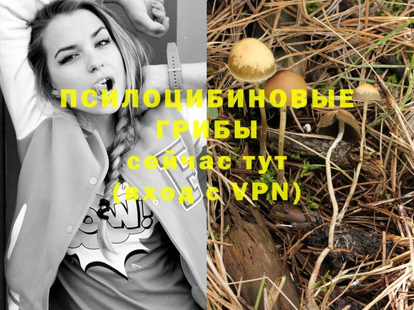 дурь Алзамай
