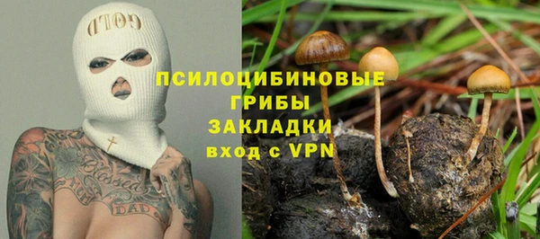 спиды Алексеевка
